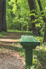 Old wooden bench in the city Park alley