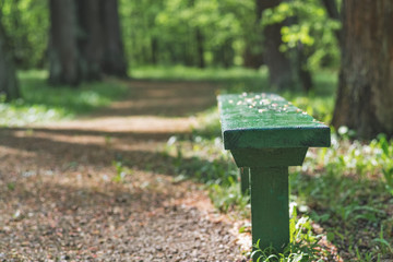 Old wooden bench in the city Park alley
