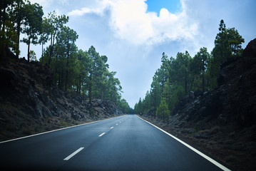 Empty road on the middle of the forest