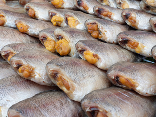 Dried snake skin gourami fish or Trichogaster pectoralis with spawn. Preservation of snake skin gourami fish in asia.