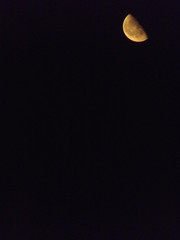 Moonlight in the dark