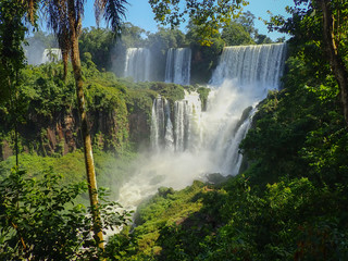 Obraz premium OLYMPUS DIGITAL CAMERA