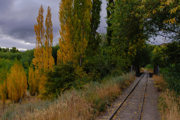 country railway in autumn forest