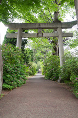 A Torii gate of Japan