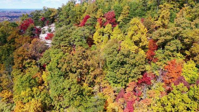 drone view over some fall colors in Kentucky