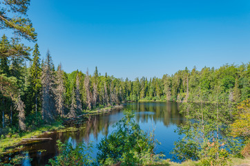 Obraz premium The quiet inner lake of the island of Valaam. The unique nature of Karelia.