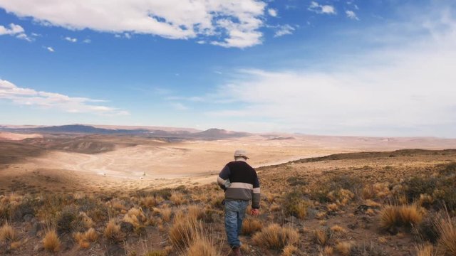Shepherd looking for the herd on the fields of the Argentinian Pampa, Patagonia. 4k