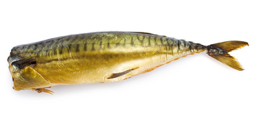 Smoked mackerel fish on white background