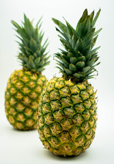two standing pineapples on an isolated white background