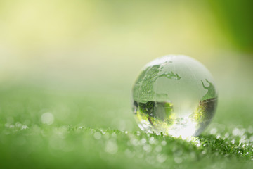 Close up of crystal globe resting on grass in a forest - environment concept - obrazy, fototapety, plakaty