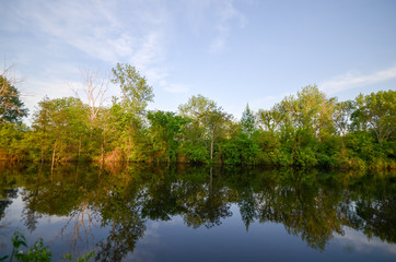 Fototapeta na wymiar trees along a michigan river