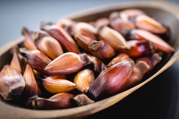 Brazilian pine in brown wooden rustic bowl. Typical araucaria tree seed used as a condiment in Brazilian cuisine in winter.
