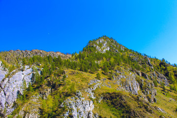 Beautiful nature scenery, hiking activity. Majestic Mountain forest in clouds landscape. Green mountain range view. Astonishing panoramic view of mountain peak.Mountains with green forest landscape.