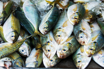 Obraz premium Fresh Mackerel Fish Seafood Market Traditional