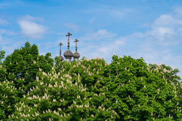 Obraz premium orthodox wooden church among blooming chestnut tree