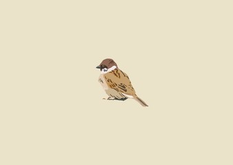 すずめ