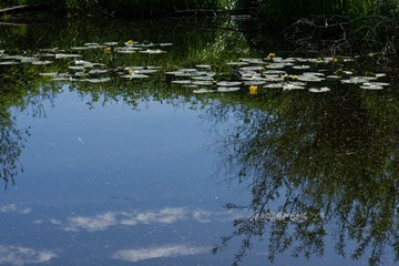 lake