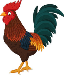 Cartoon rooster isolated on white background © tigatelu