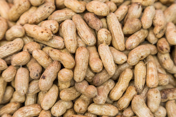 Many peanuts in shells