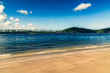 tropical beach and sea
