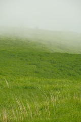 草原と霧