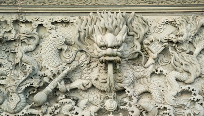 Real Chinese Dragon in China