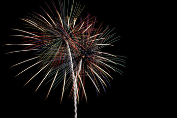 Fireworks on the black background  