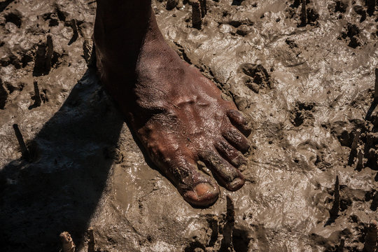 Aboriginal crab hunting