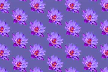 Purple lily pattern gray background