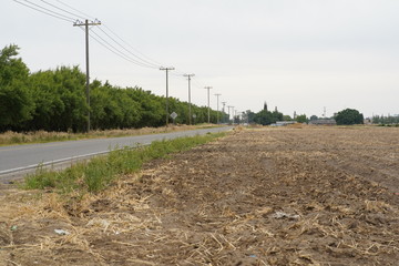 Fototapeta na wymiar Road Landscape