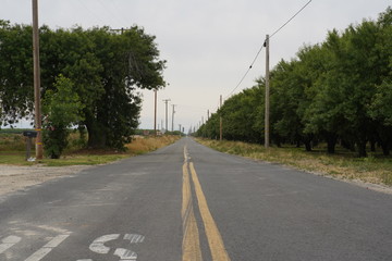 Road Landscape