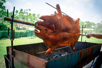 Barbecued suckling pig grilled on a charcoal stove.