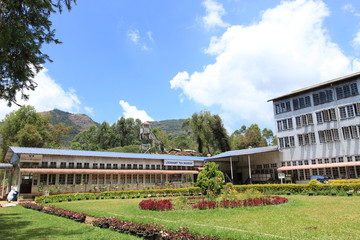 Obraz premium Tea factory , Munnar , Kerala 
