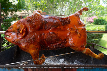 Barbecued suckling pig grilled on a charcoal stove.