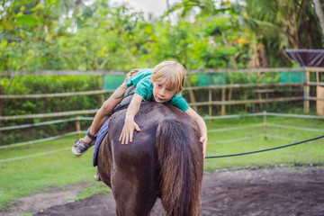 Boy horseback riding, performing exercises on horseback