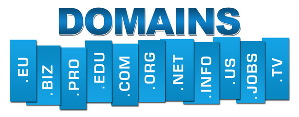 Domains Blue Professional 
