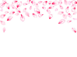 Japanese cherry blossom pink flying petals