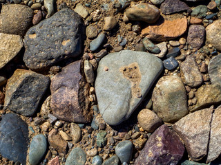 Stones on the ground. Rock background. Ground and stones. Rocky soil. Stone background. Natural
