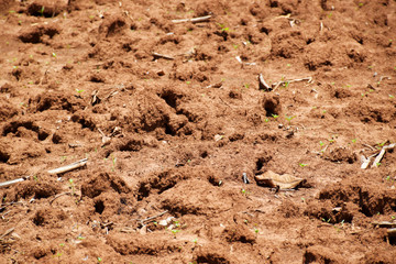 Brown ground surface for planting nature background