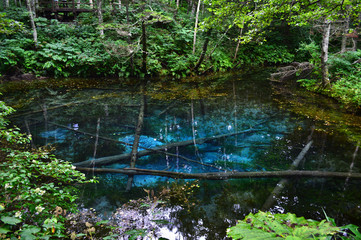 【北海道】神の子池 / 【Hokkaido】Kannoko pond