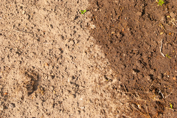 Plain soil in the garden half watered, half dry