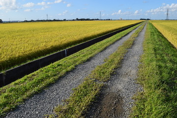 農業専用道路