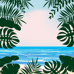 Fototapeta na wymiar Summer tropical background with exotic floral plants leaves palm, beach ocean seashore