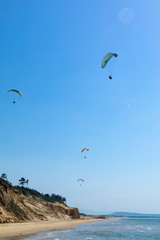 奈多海岸のパラグライダー