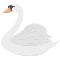 A beautiful white swan. Vector illustration