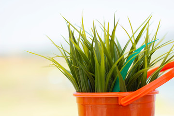 Tree in a red pot in the background copy space
