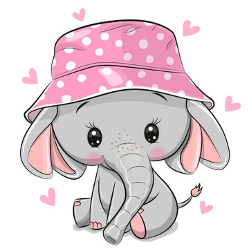 Cute Elephant in panama hat isolated on a white background