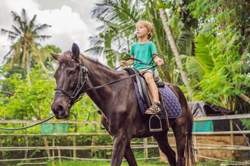 Boy horseback riding, performing exercises on horseback