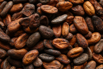 Many cocoa beans as background