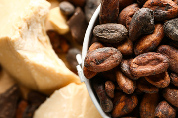 Bowl with cocoa beans on table, closeup
